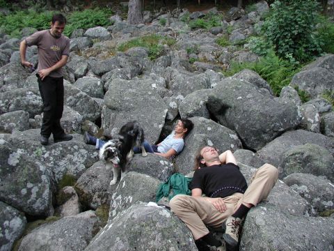 http://www.fordpflanzen.de/bilder/Knaupi/Vogesen2003/Bild12.JPG