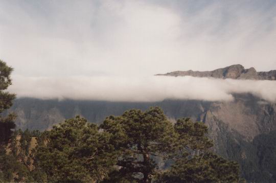 http://www.fordpflanzen.de/bilder/rolf/1998-LaPalma/caldera-wolken.jpg