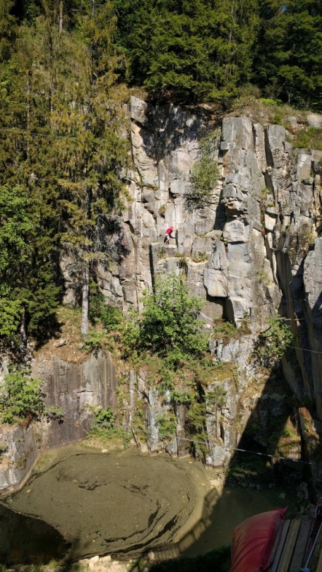 http://www.fordpflanzen.de/bilder/rolf/2018-LaBresse/48.jpg