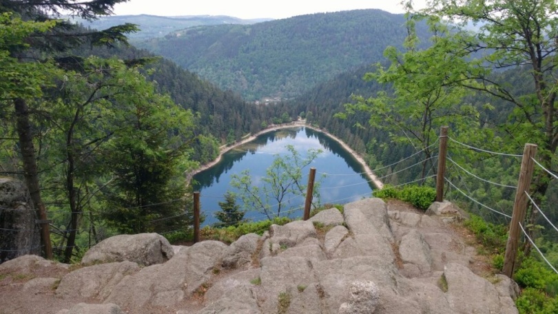 http://www.fordpflanzen.de/bilder/rolf/2018-LaBresse/63.jpg
