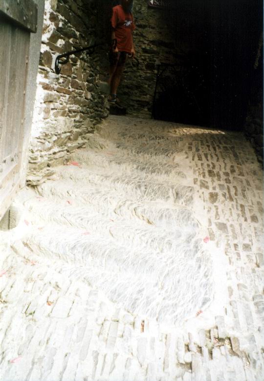 http://www.fordpflanzen.de/bilder/rolf/Ford-einzelbilder/1999-Leiwen/seite09-treppe.jpg