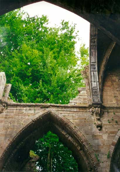 http://www.fordpflanzen.de/bilder/zottel/2001_LacDuDer/Ruine05.jpg